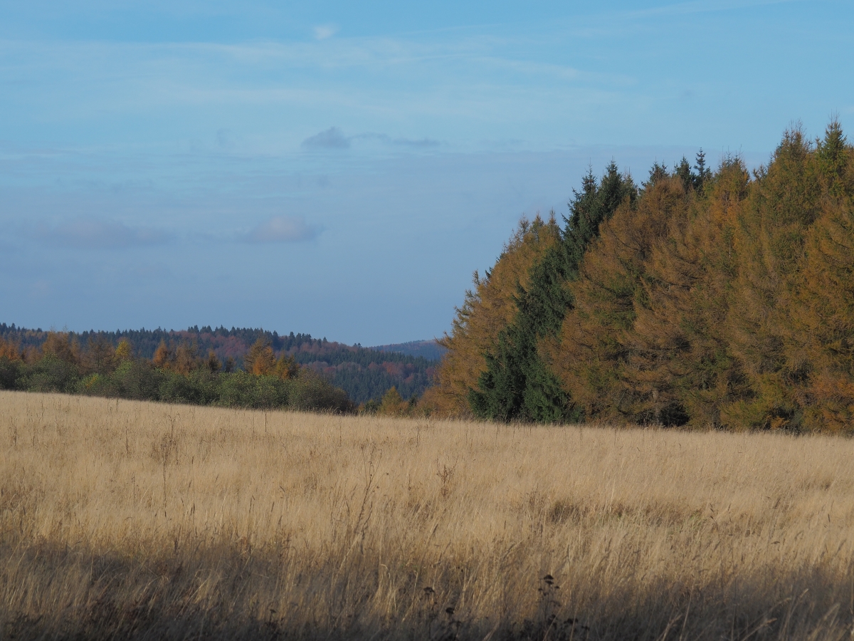 PA273765n.JPG