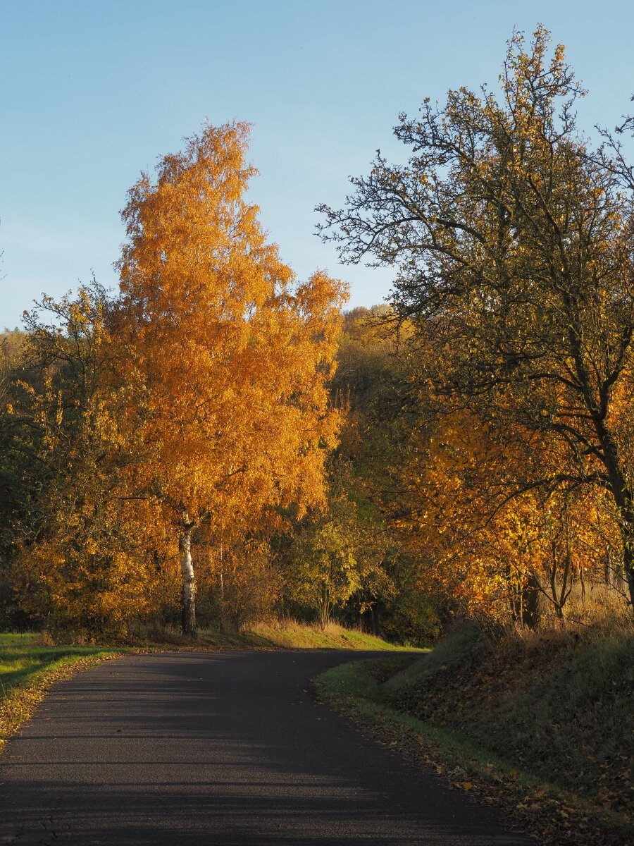 PA273784n.JPG
