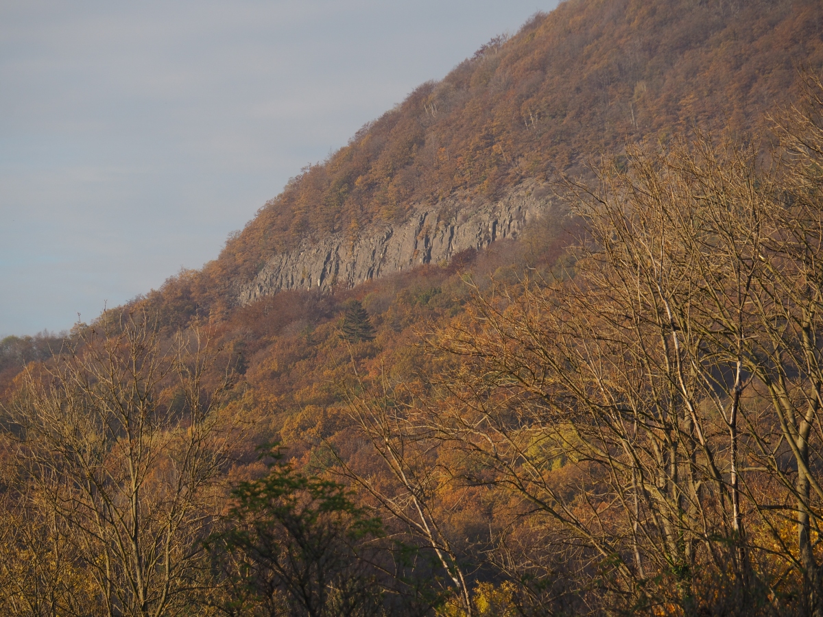 PA273796n.JPG
