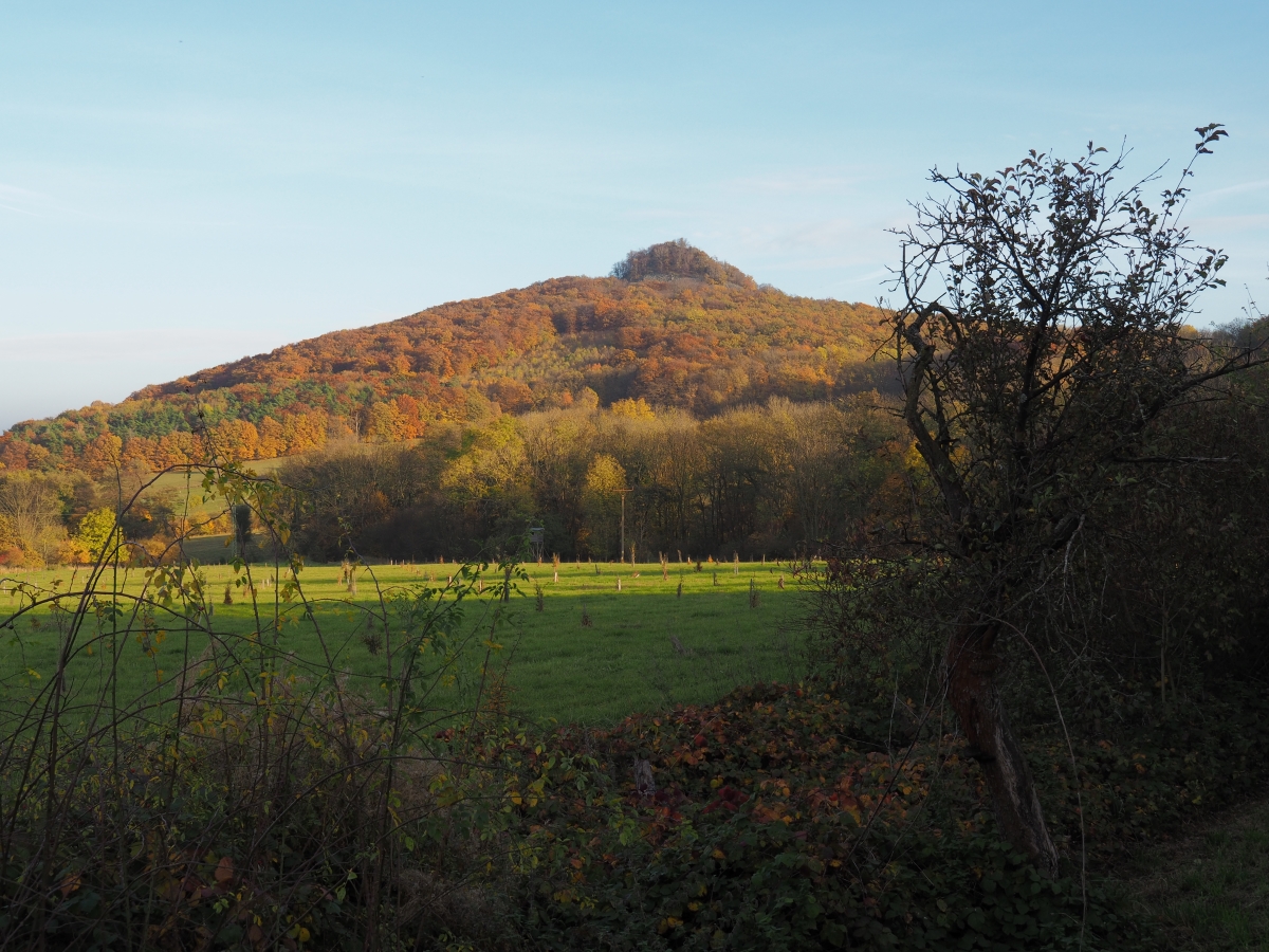 PA273797n.JPG