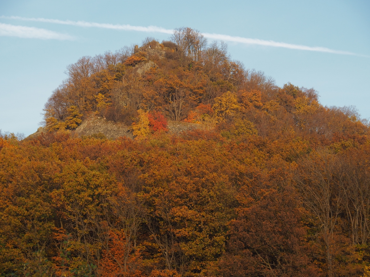 PA273803n.JPG