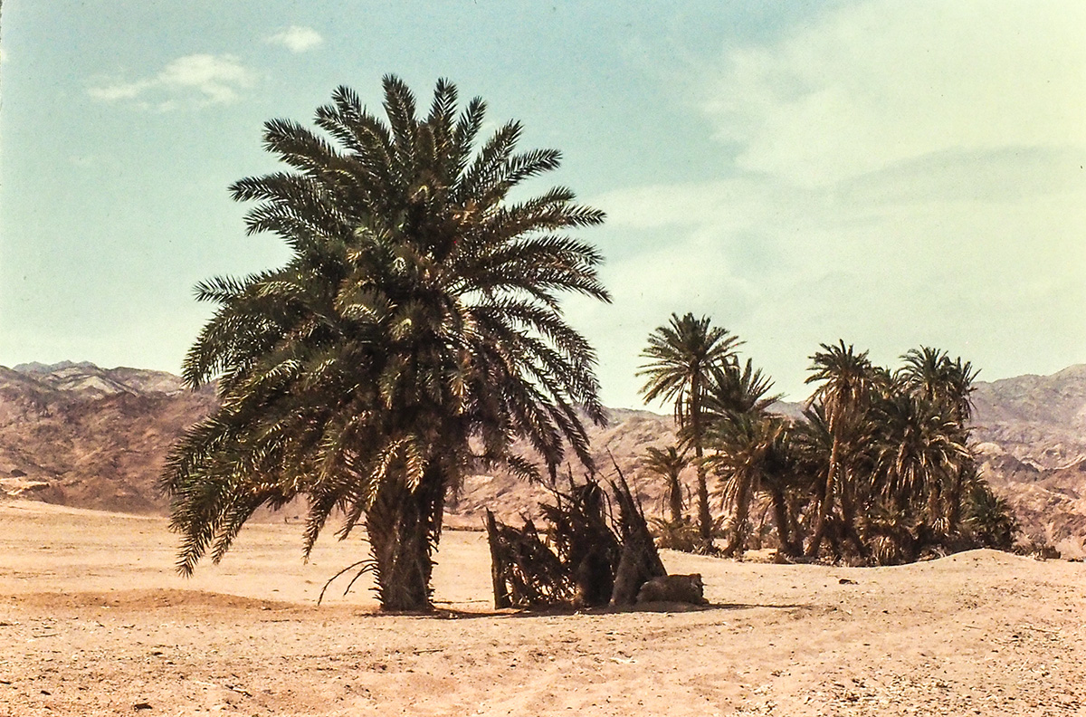 PA280022.jpg