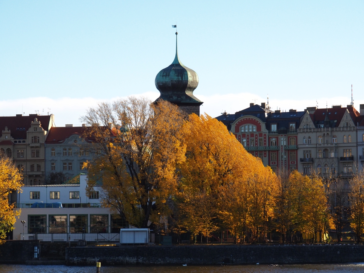 PA301286o.JPG