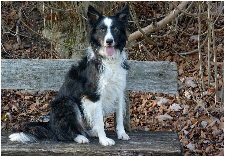 paddy an der fulda