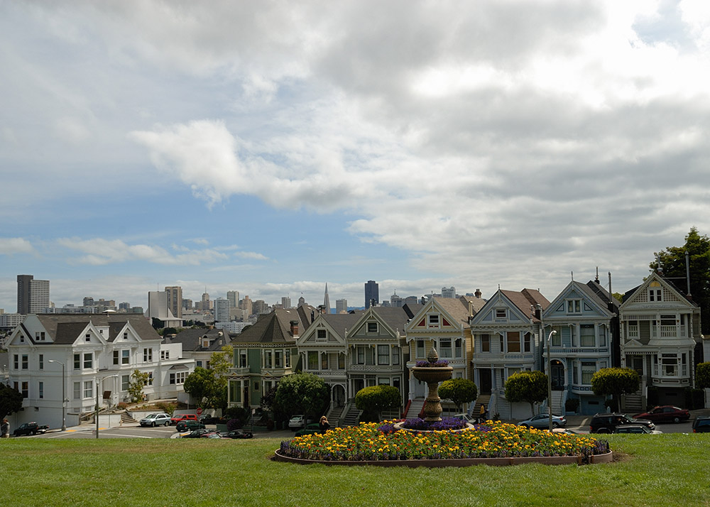 Painted Ladies