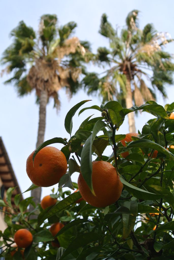 Palma de Mallorca