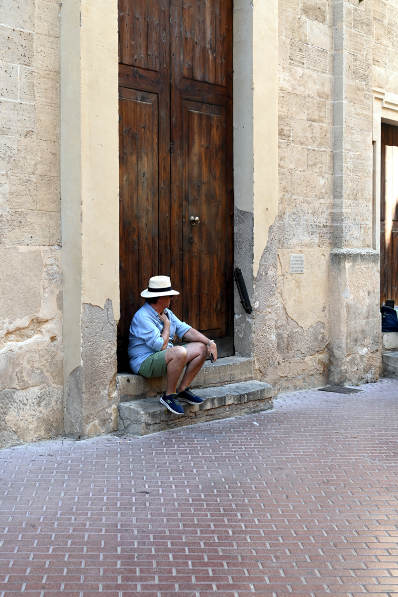 palma2,5.jpg