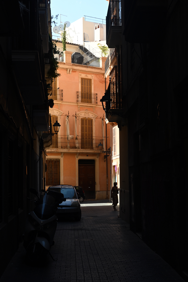 palma6.jpg