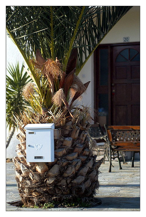 Palmenbriefkasten