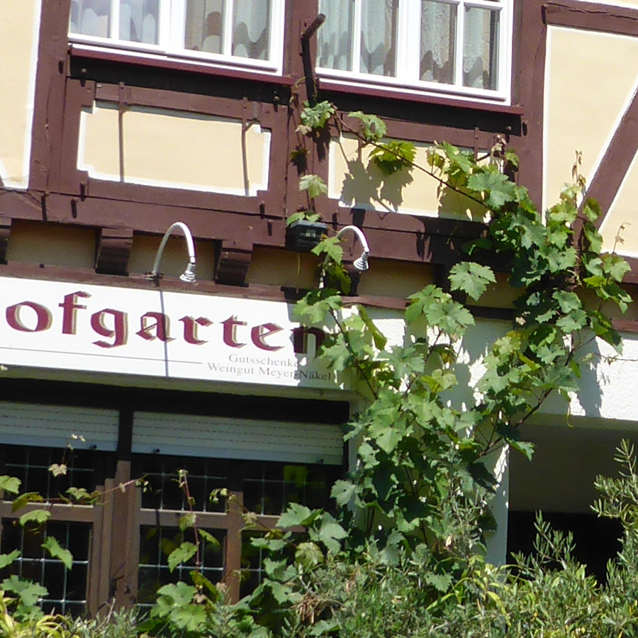 Pana Crop mitte