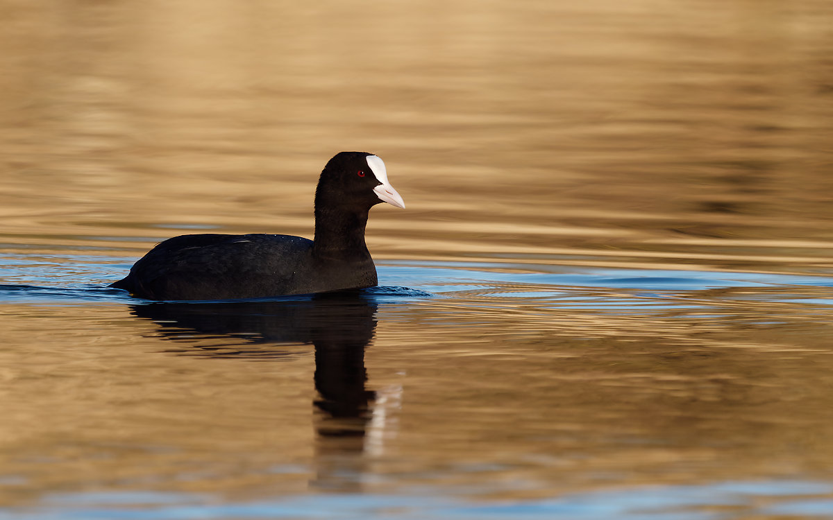 PANA1189_DxO1200.jpg