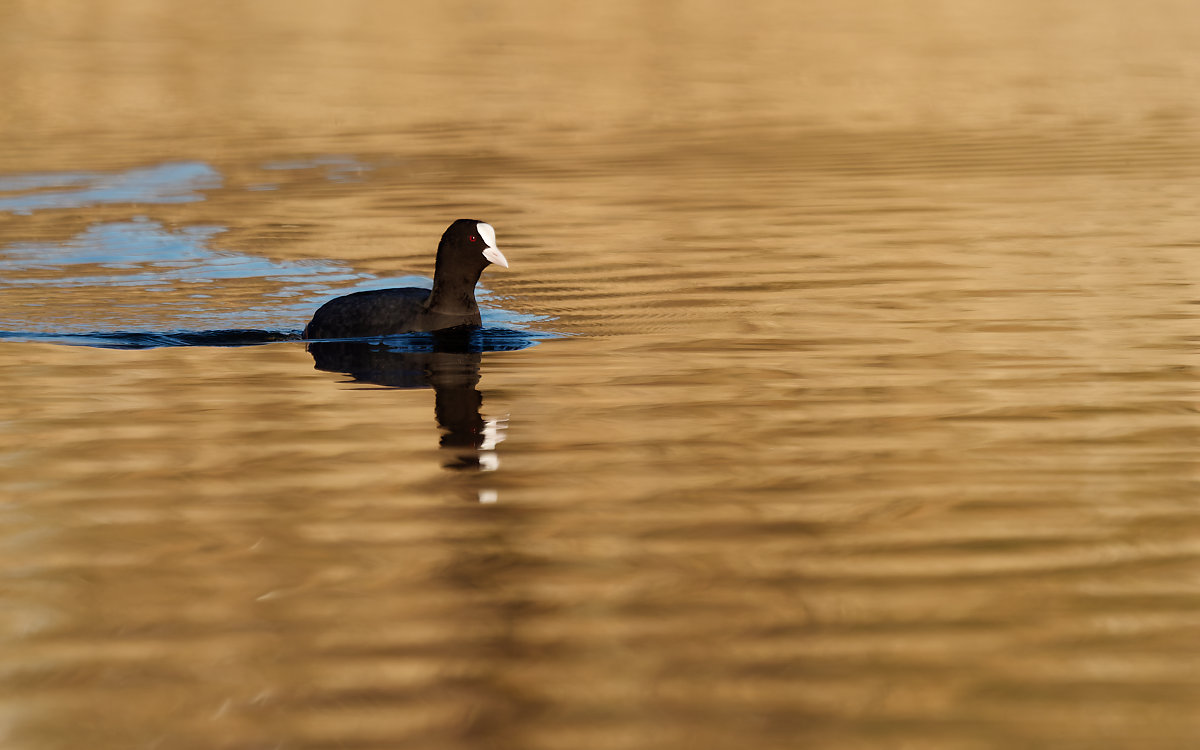 PANA1230_DxO1200.jpg
