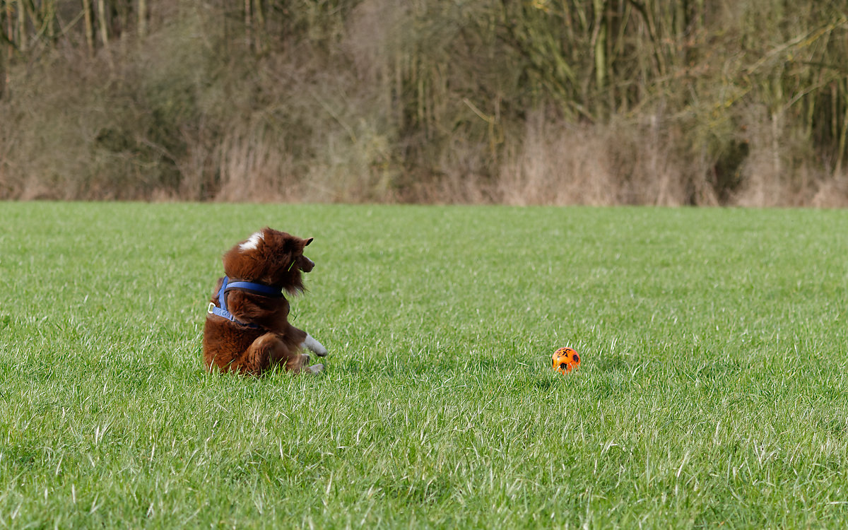 PANA6802_DxO1200.jpg