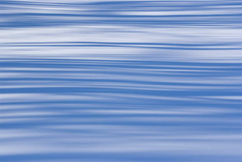 Panning: Schneefeld &amp; Baumschatten