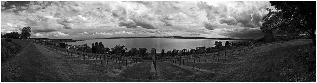 Pano Bodensee in sw