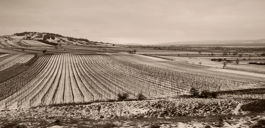 panorama in sepia