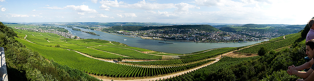 Panorma #2 vom Rhein