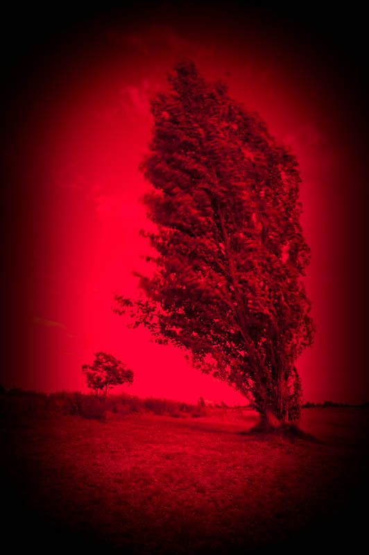 pappel.rot