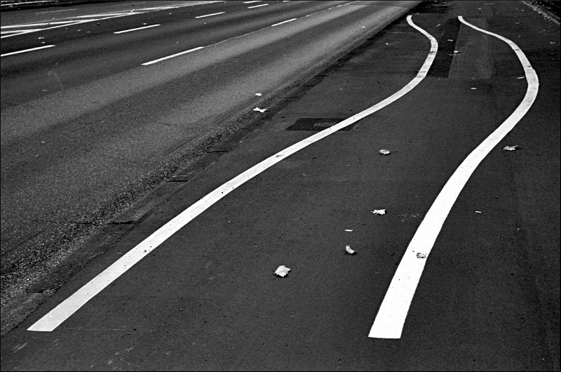parallelen