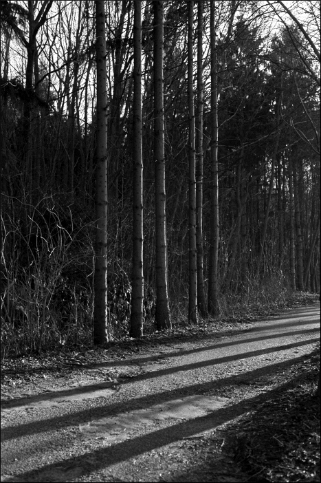 parallelen
