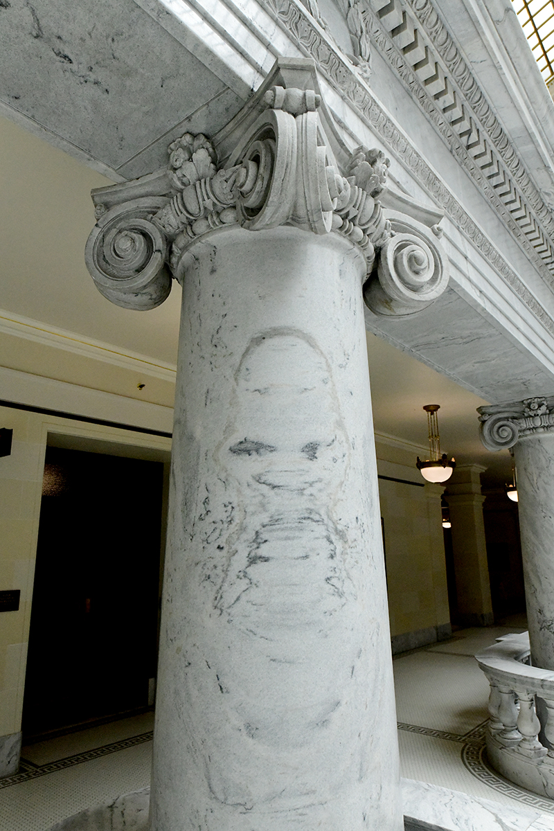 Pareidolie 1.jpg