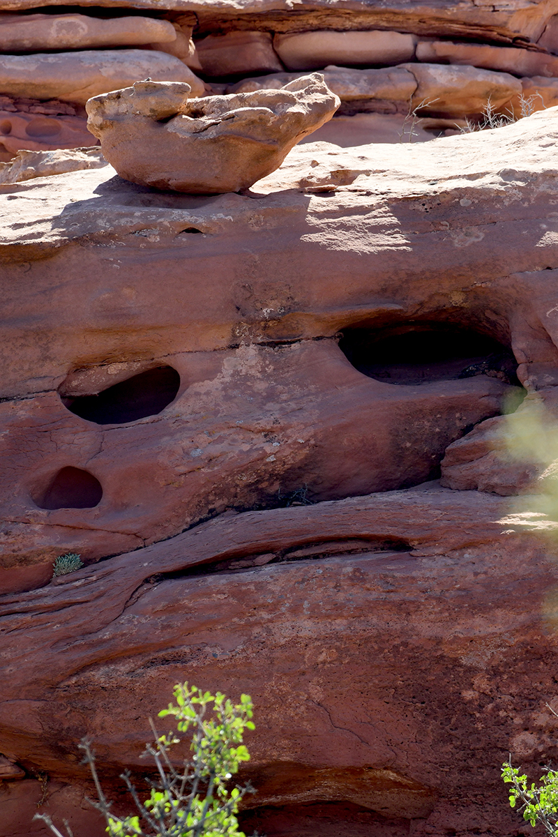 Pareidolie2.jpg