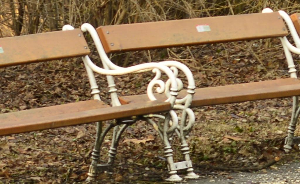 Park_detail