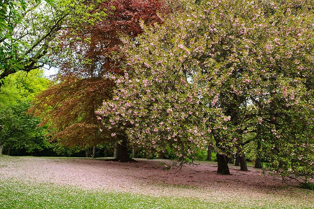 Parkfarben
