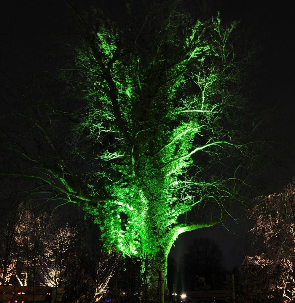 Parkleuchten Gruga 2011