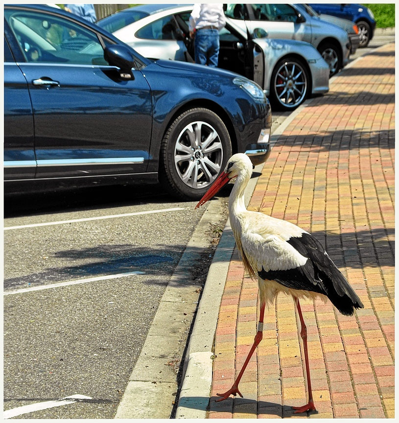 Parkplatzwächter