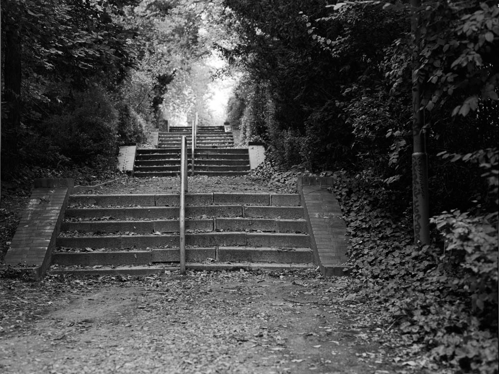 Parktreppe