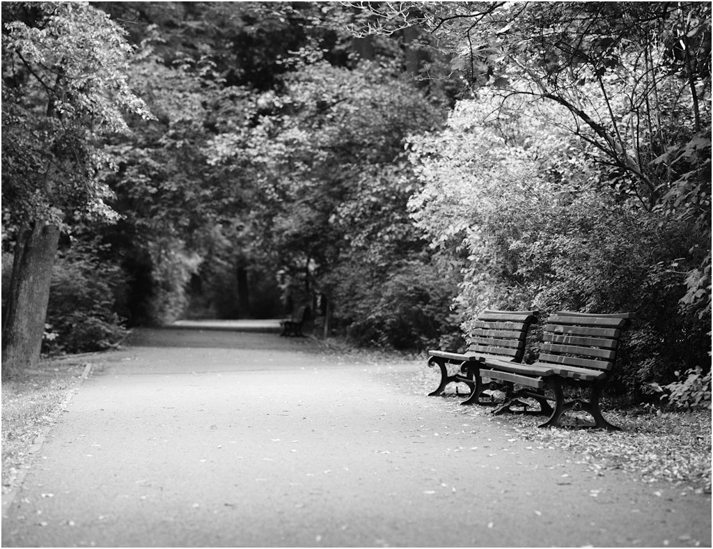 Parkweg