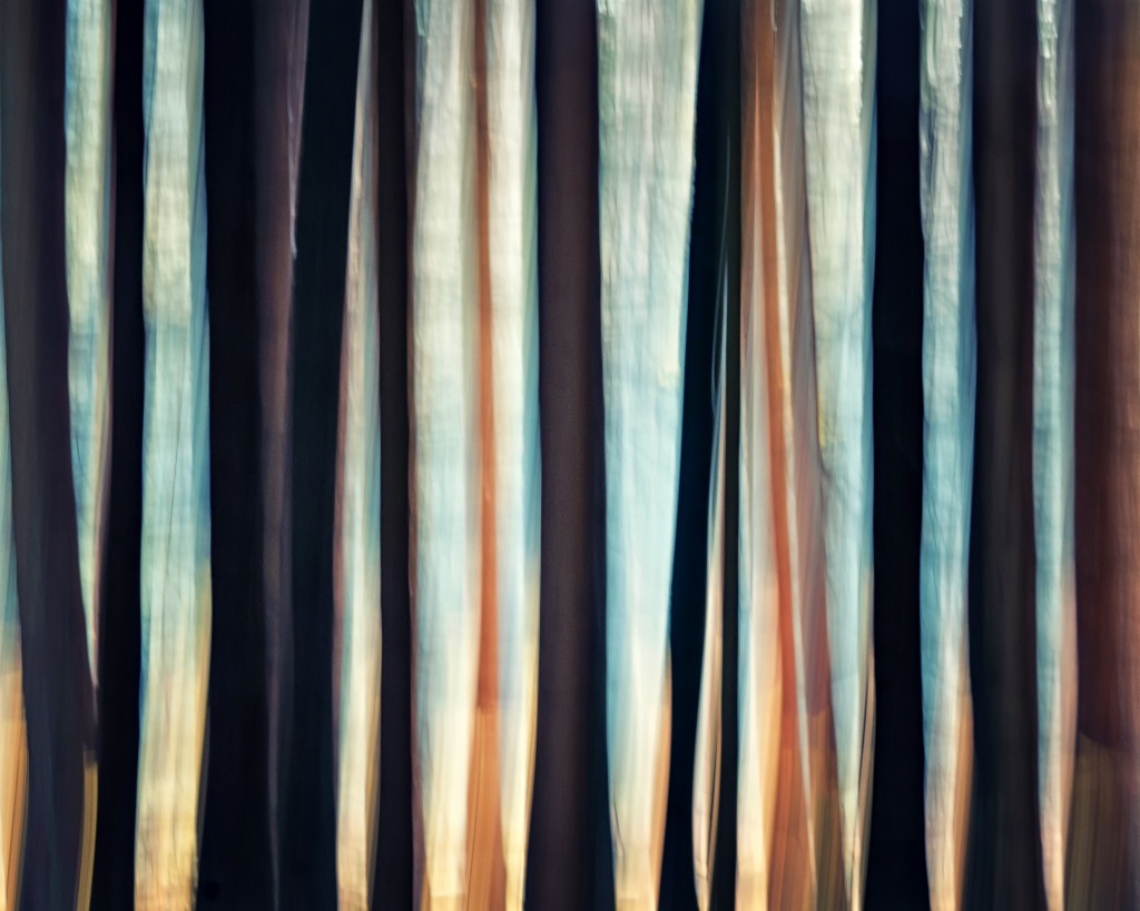 PastelNF 002