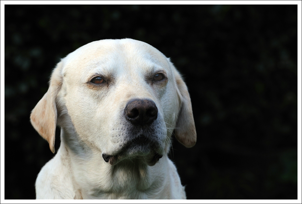 Paul - 2. Bild - 04/2011
