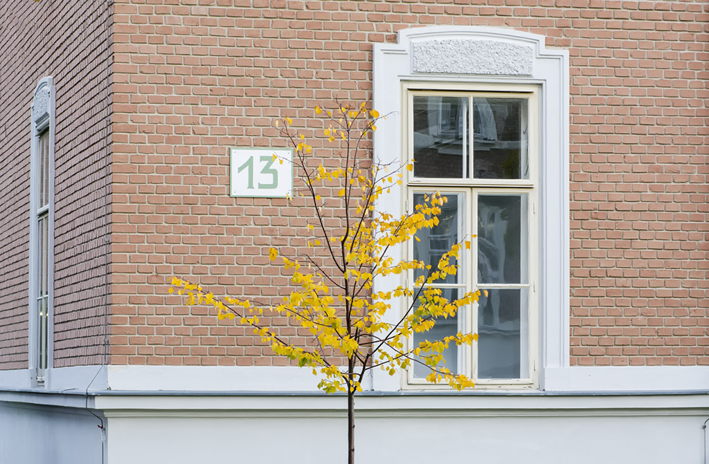 Pav. 13