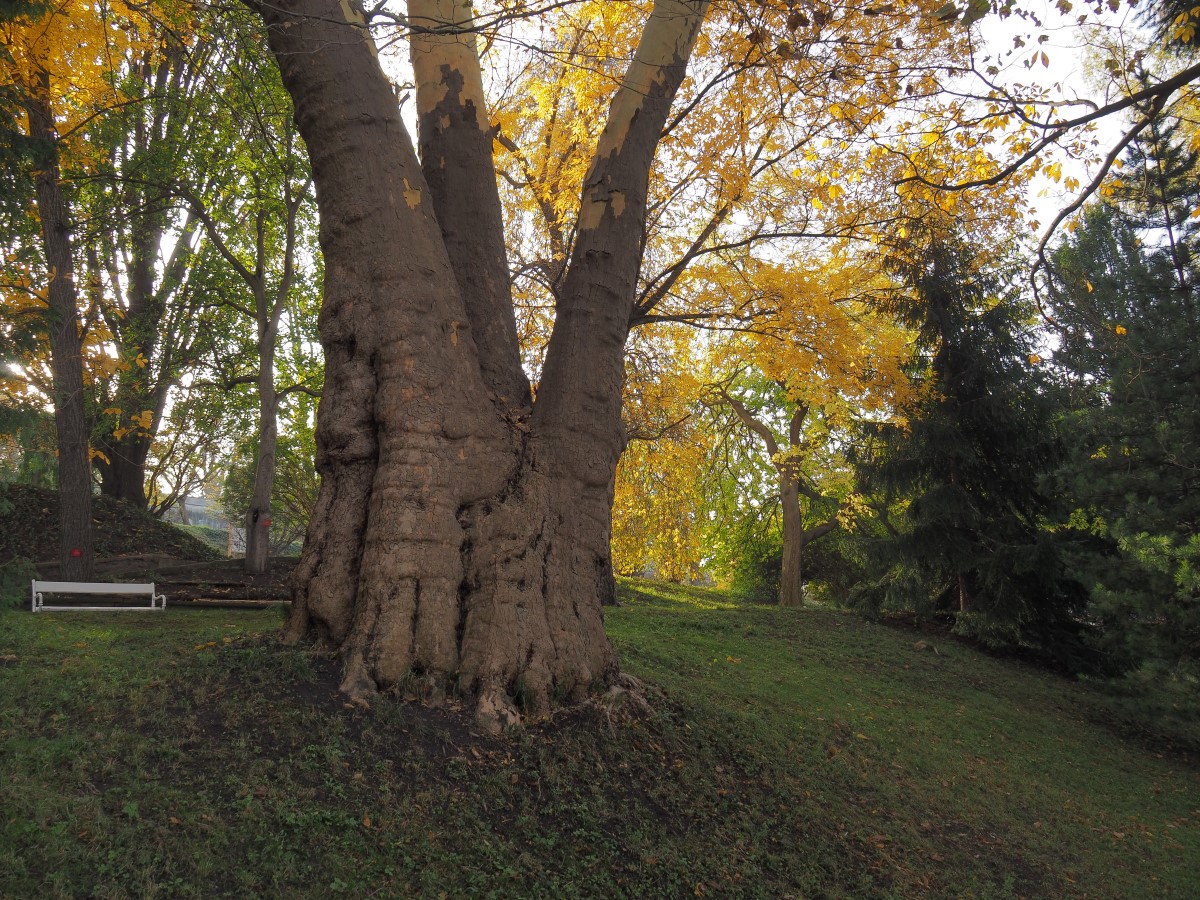 PB011394n.JPG