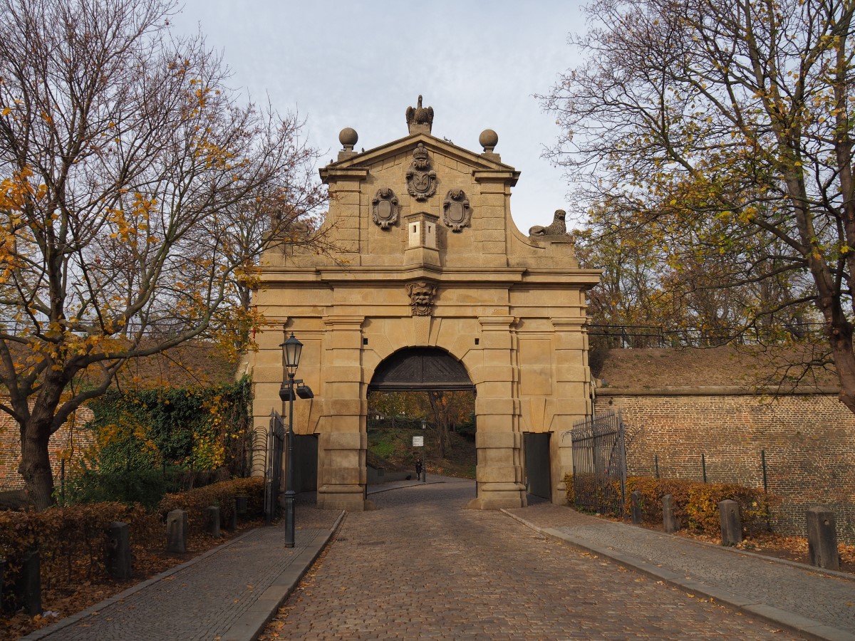 PB011433n1.JPG