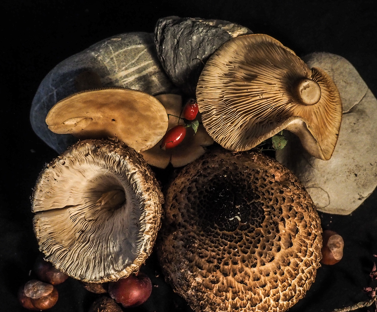 PB030013-Edit.jpg