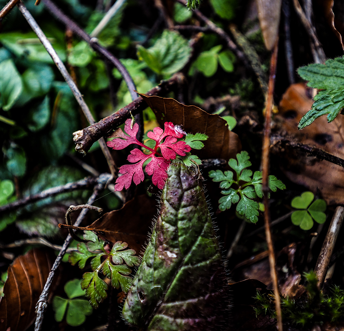 PB110087.jpg
