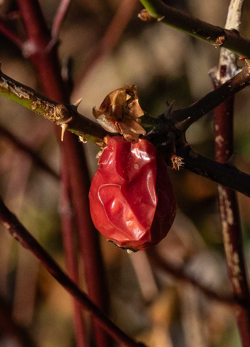 PB180056.jpg