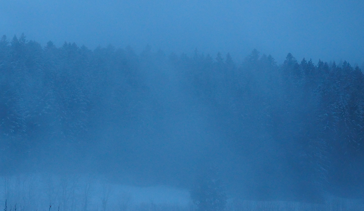 PC060024.jpg