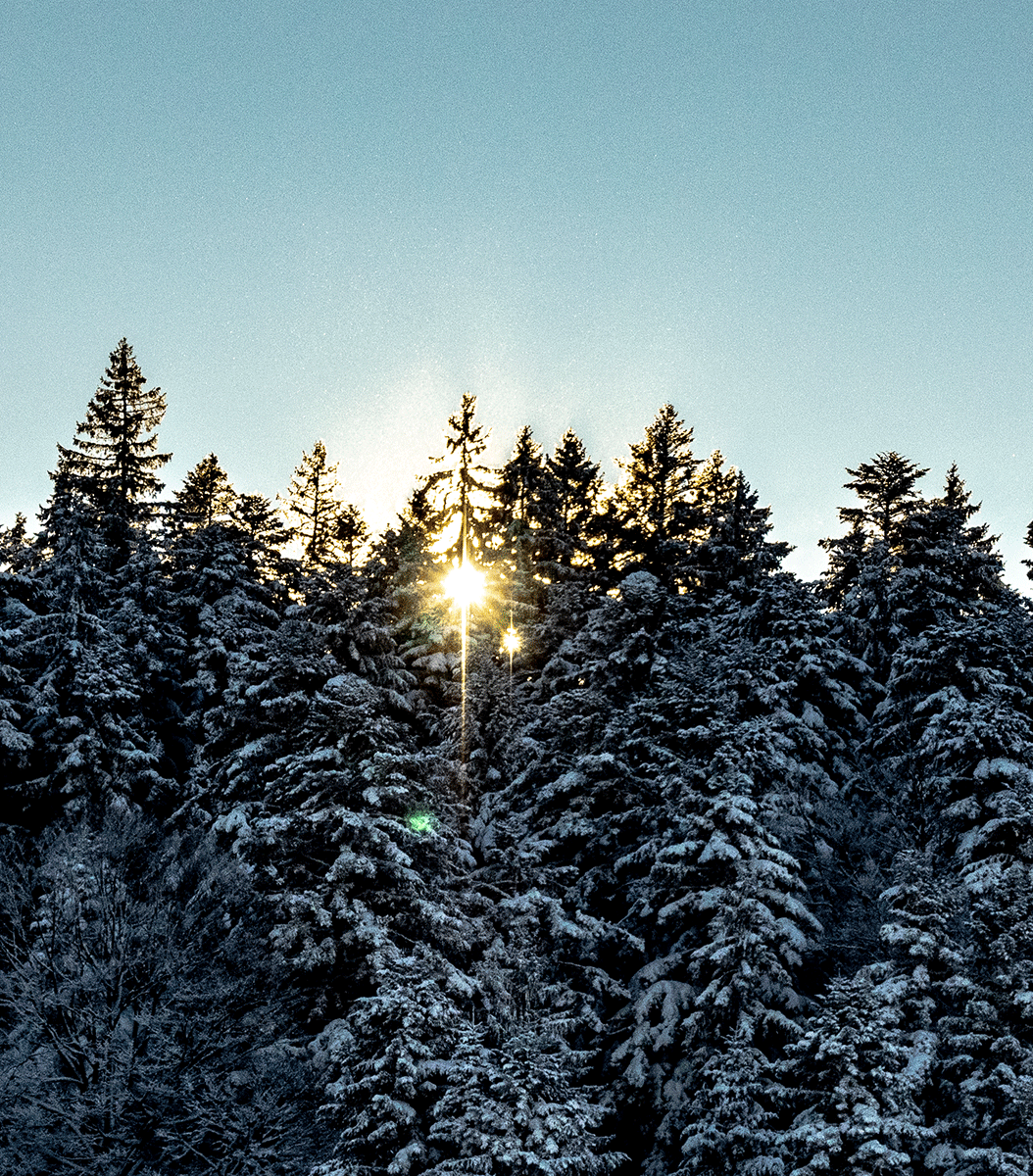 PC250007.gif