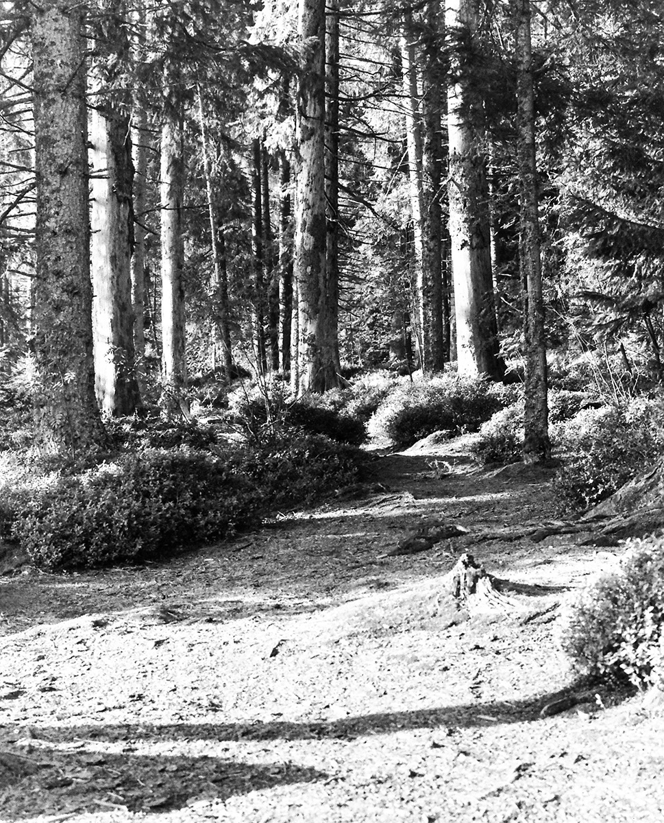 PC280246-Edit.jpg