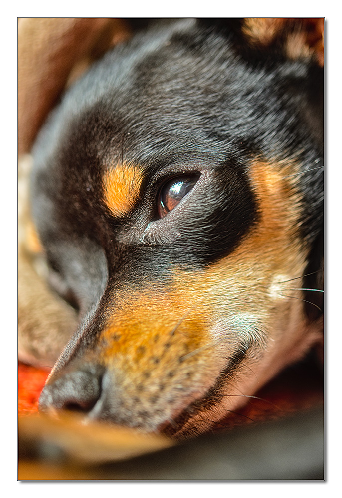 Pepper7