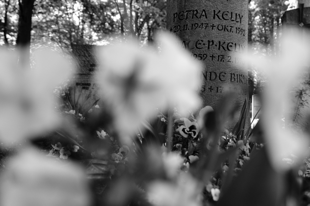 Petra Kelly A