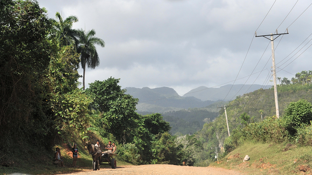 Pferdewagen bei Baracoa
0797