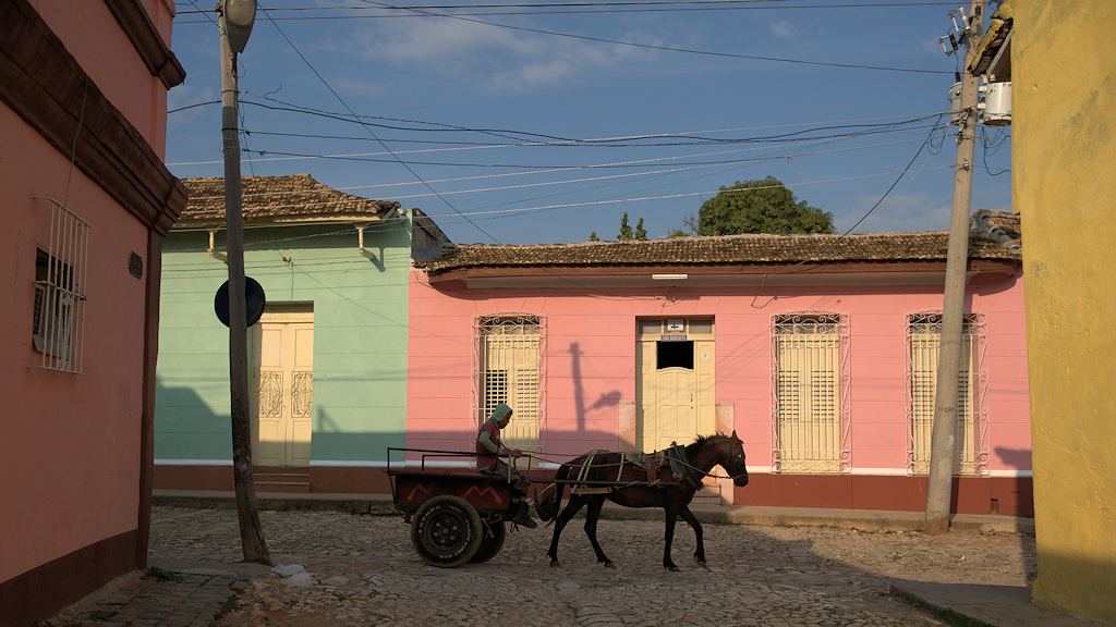 Pferdewagen in Trinidad
7940