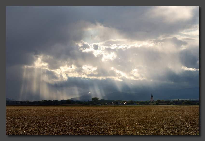 phanni herbst