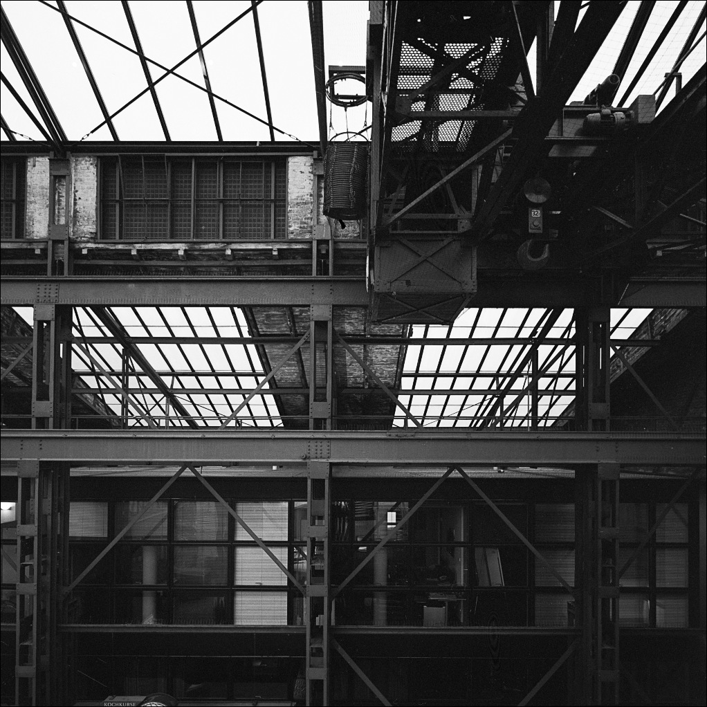 Phoenixhof 05