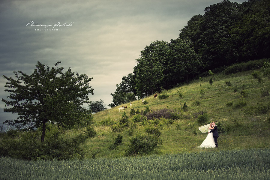 Photodesign Radloff 0320